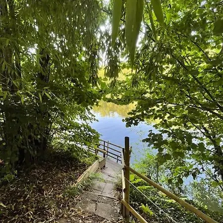 Entre rivière&bambous / Vue rivière / Parc arboré Saint-Juery  Extérieur photo