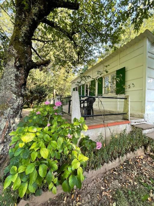 Entre Riviere & Bambous - Vue Riviere - Parc Arbore - Petfriendly Saint-Juery (Tarn)