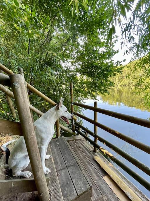 Entre Riviere & Bambous - Vue Riviere - Parc Arbore - Petfriendly Holiday home
