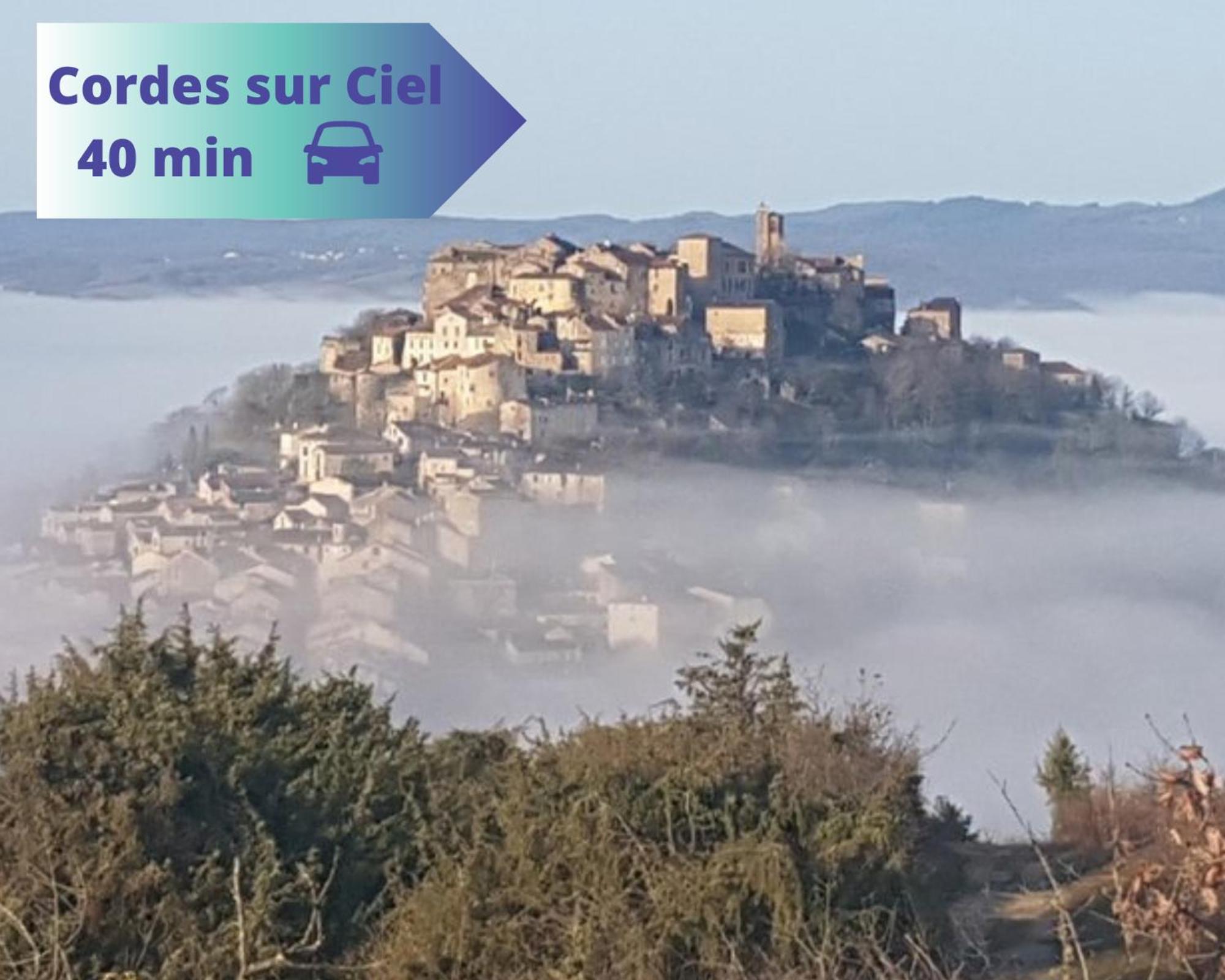Entre Riviere & Bambous - Vue Riviere - Parc Arbore - Petfriendly Holiday home *