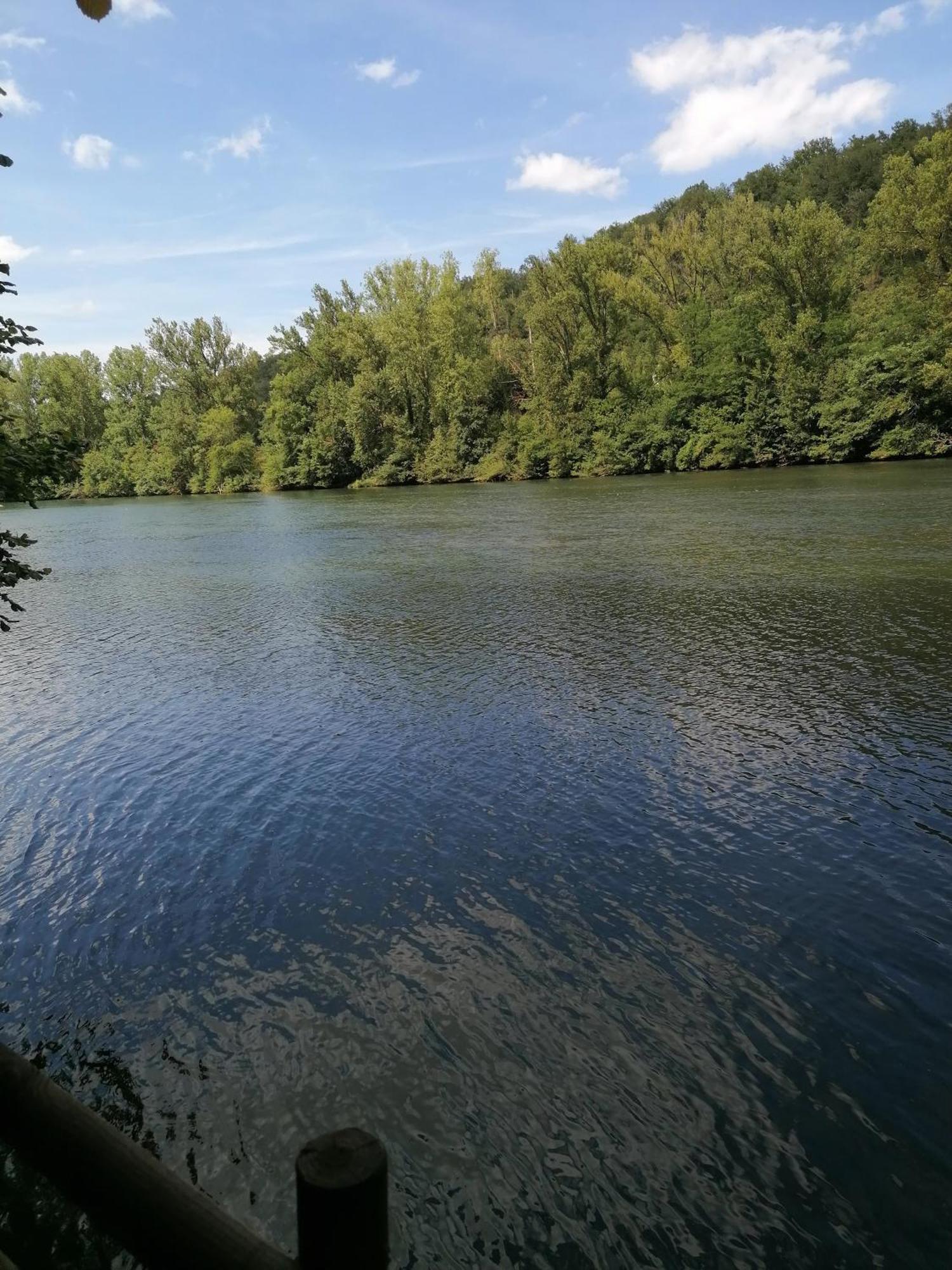 Entre Riviere & Bambous - Vue Riviere - Parc Arbore - Petfriendly *