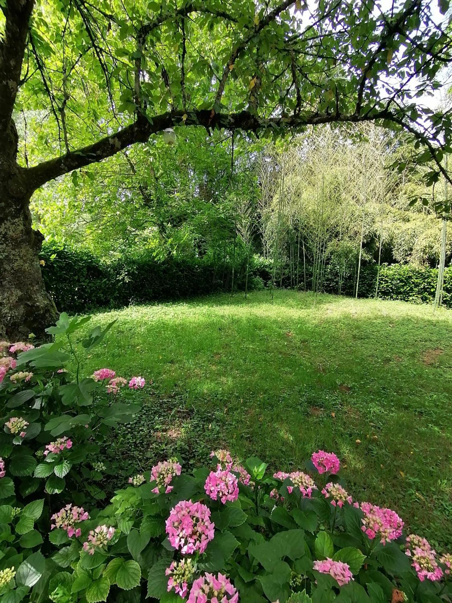 Entre Riviere & Bambous - Vue Riviere - Parc Arbore - Petfriendly Saint-Juery (Tarn)